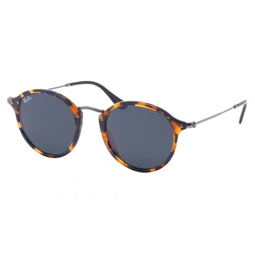 Ray-Ban 2447 1158/R5 Round Icons Ray-Ban 2447 1158/R5 Round Icons
