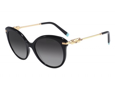 Очки Tiffany Co 4189B 8344/3C Очки Tiffany Co 4189B 8344/3C