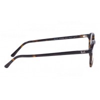 Leonard RX 5393 2012 Leonard RX 5393 2012