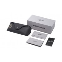 Wayfarer Reverse RB R0502S 6677/VR Wayfarer Reverse RB R0502S 6677/VR