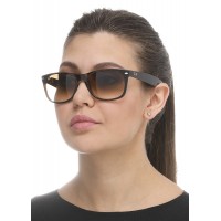New Wayfarer RB 2132 710/51 New Wayfarer RB 2132 710/51